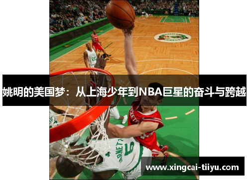 姚明的美国梦：从上海少年到NBA巨星的奋斗与跨越